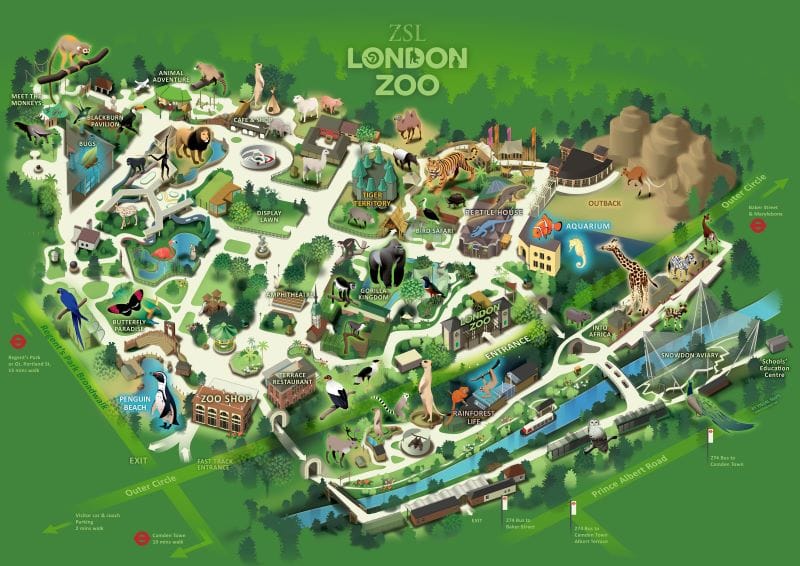 london zoo - Những điểm đến thu hút du khách khi đến Anh quốc