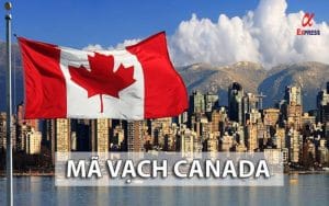 ma vach canada - Mã vạch Canada là bao nhiêu? Cách kiểm tra mã vạch nhanh nhất
