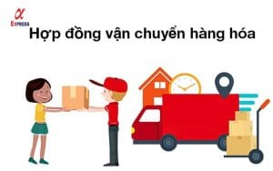 hop dong van chuyen hang hoa - Hợp đồng vận chuyển hàng hóa và những điều cần biết