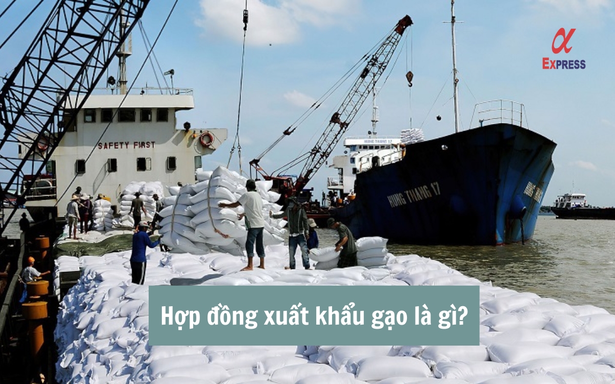 hop dong xuat khau gao - Hợp đồng xuất khẩu gạo là gì? Quy trình, lợi ích và yêu cầu