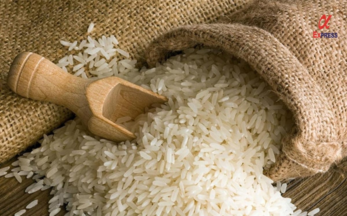 xuat khau gao sang chau au - Hợp đồng xuất khẩu gạo là gì? Quy trình, lợi ích và yêu cầu