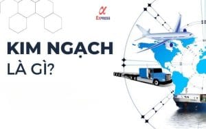 Kim ngạch là gì?